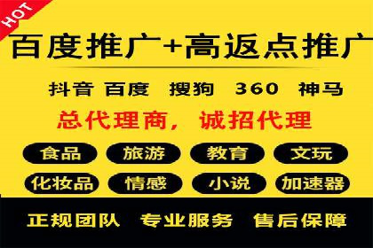 某知名品牌SEM运营策略及效果评估